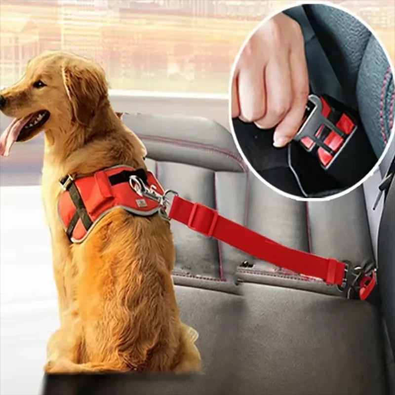 Seat Belt Leash