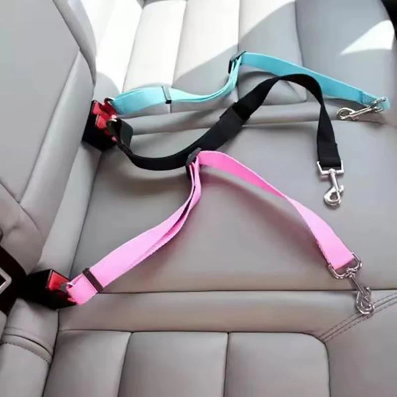 Seat Belt Leash