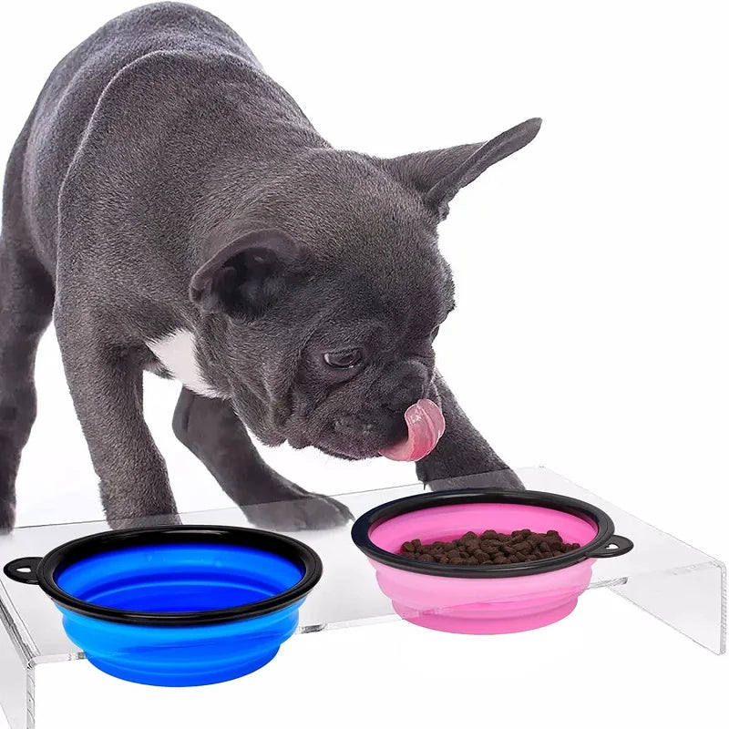 Collapsible Water Bowl