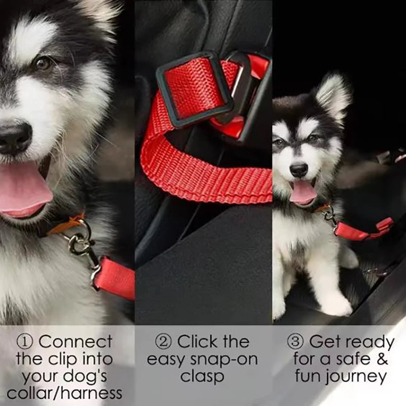 Seat Belt Leash