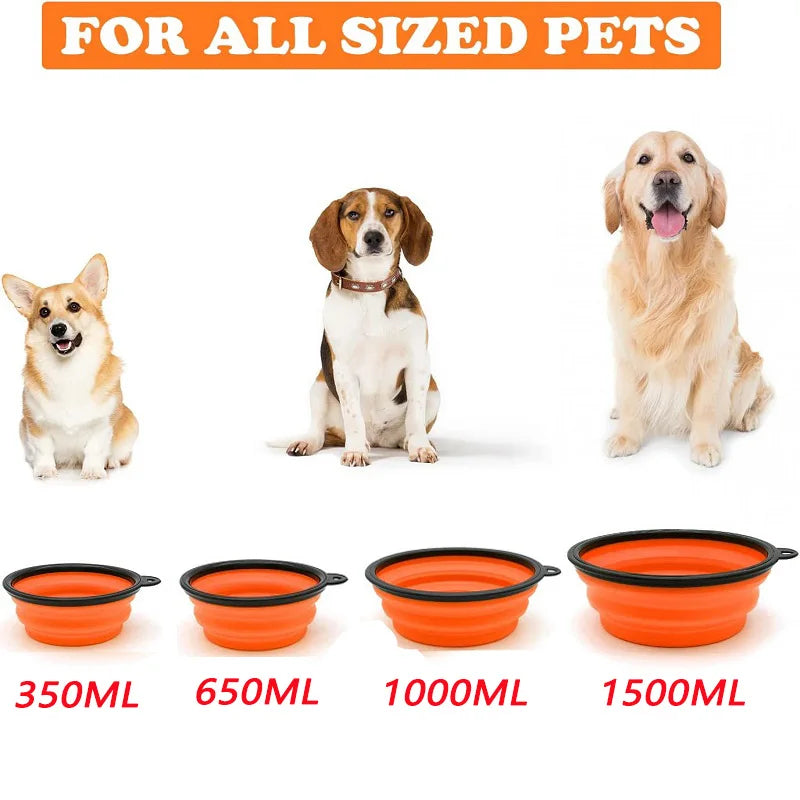 Collapsible Water Bowl