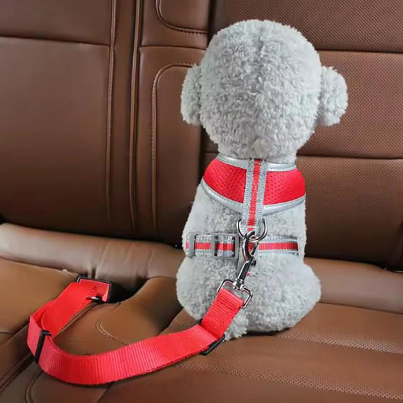 Seat Belt Leash