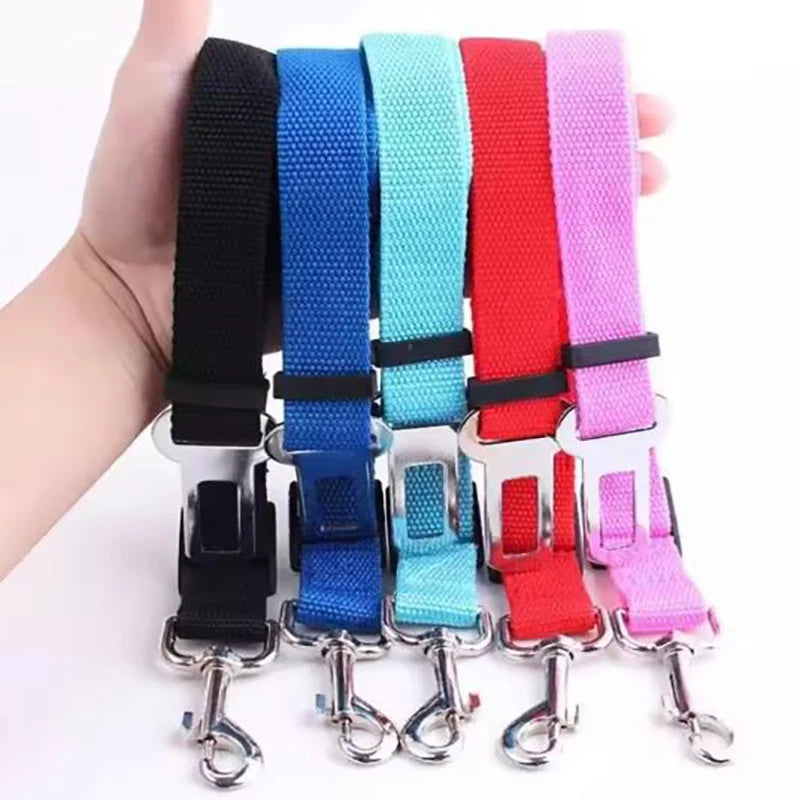 Seat Belt Leash