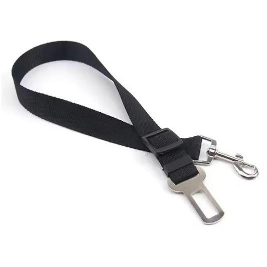 Seat Belt Leash