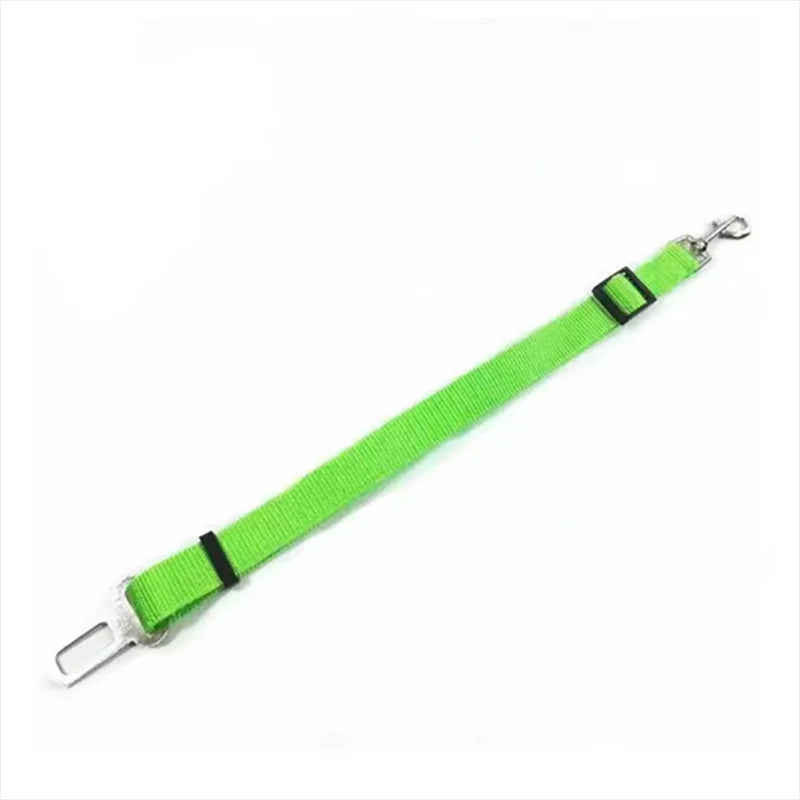Seat Belt Leash